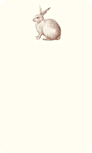 Rabbit Thinking Card