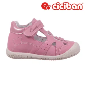 Rolly Rosa 74