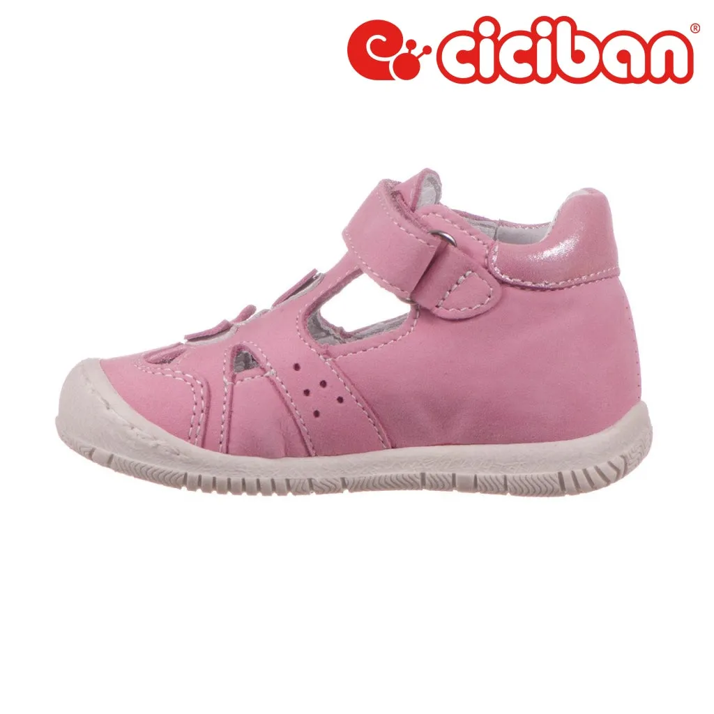 Rolly Rosa 74