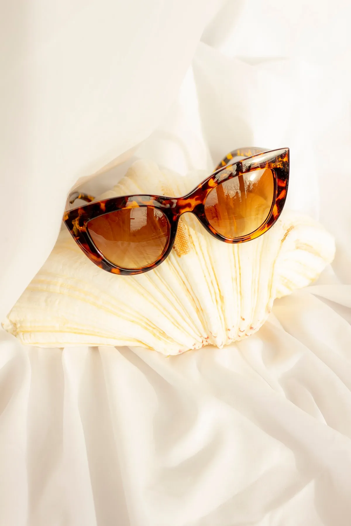Rounded Super Cat Eye Sunglasses