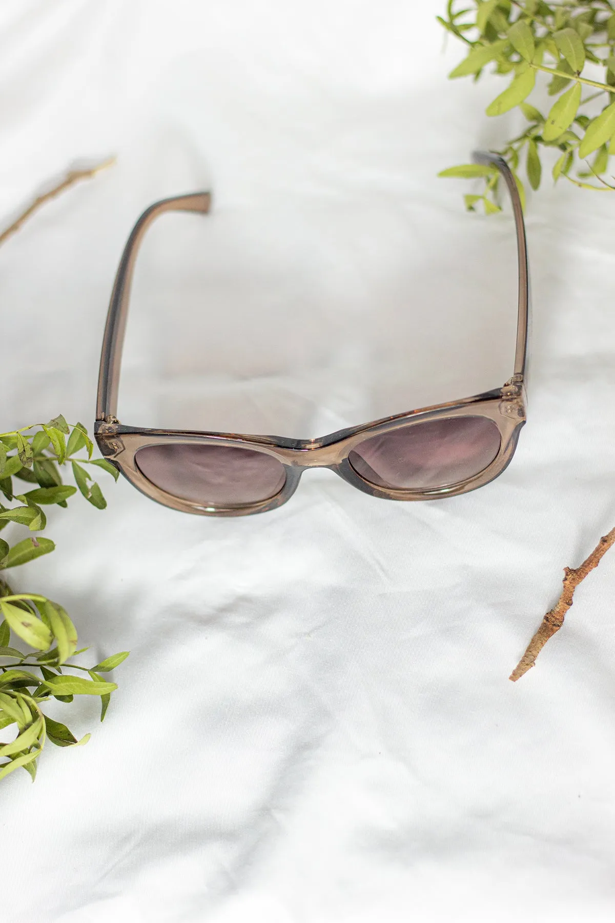 Rounded Top Cat Eye Dish Sunglasses