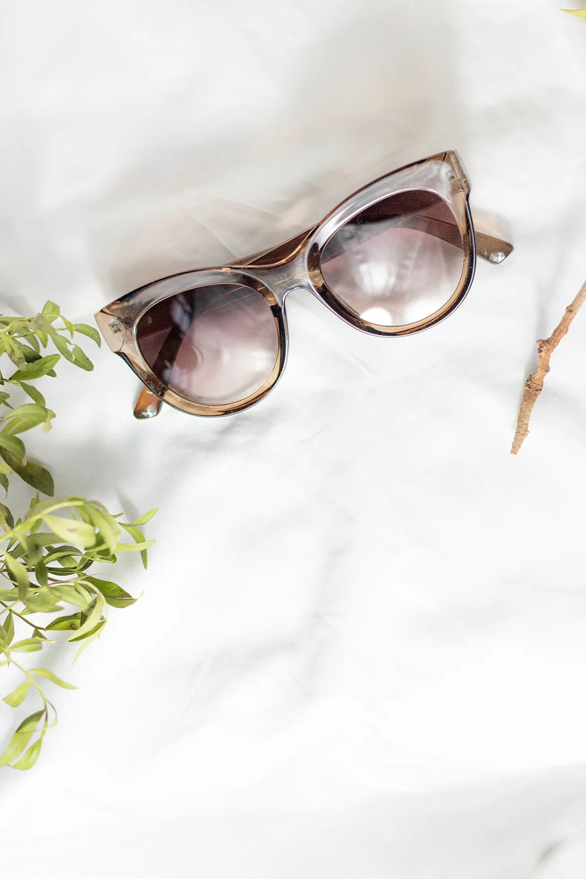 Rounded Top Cat Eye Dish Sunglasses