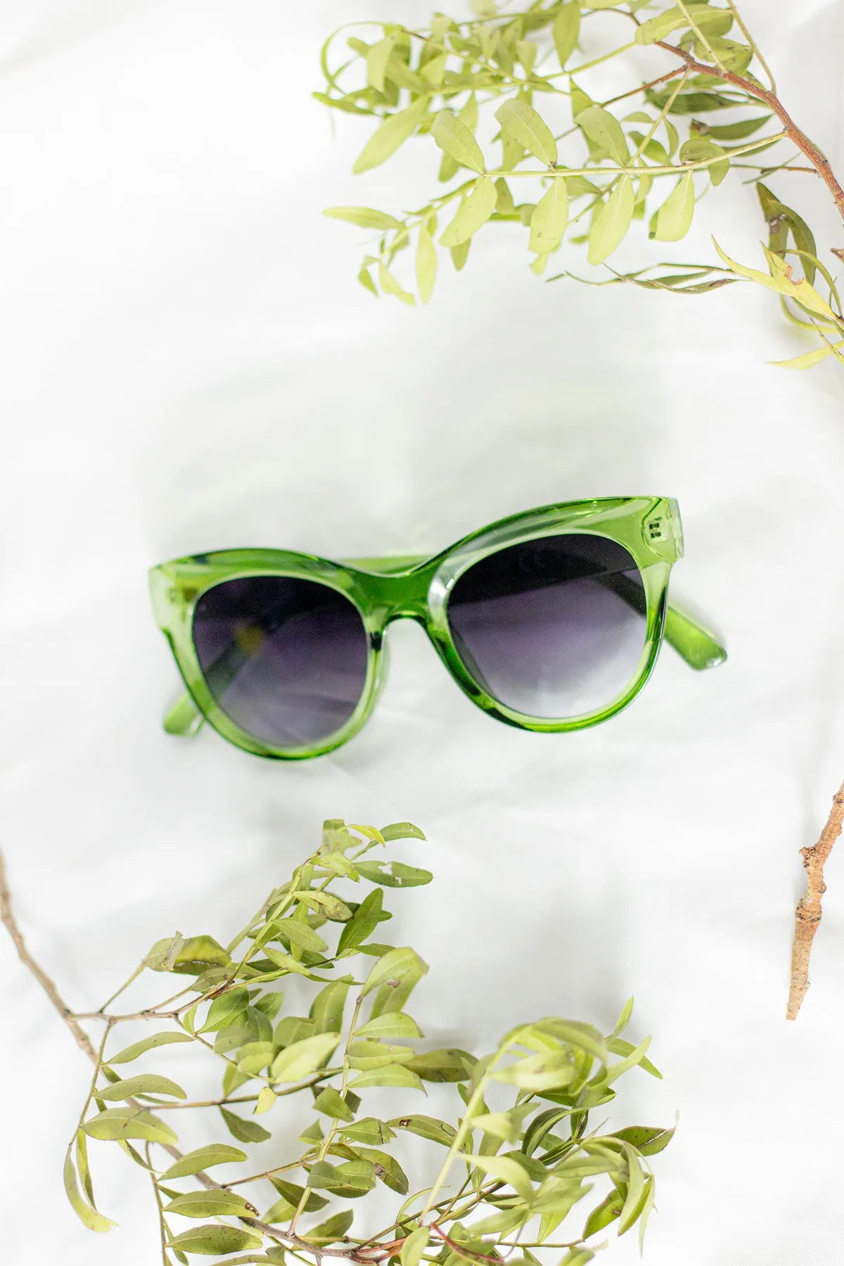 Rounded Top Cat Eye Dish Sunglasses