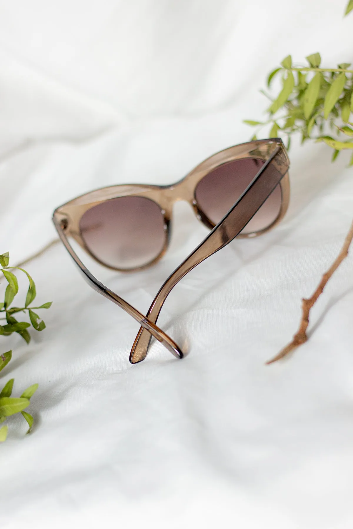 Rounded Top Cat Eye Dish Sunglasses