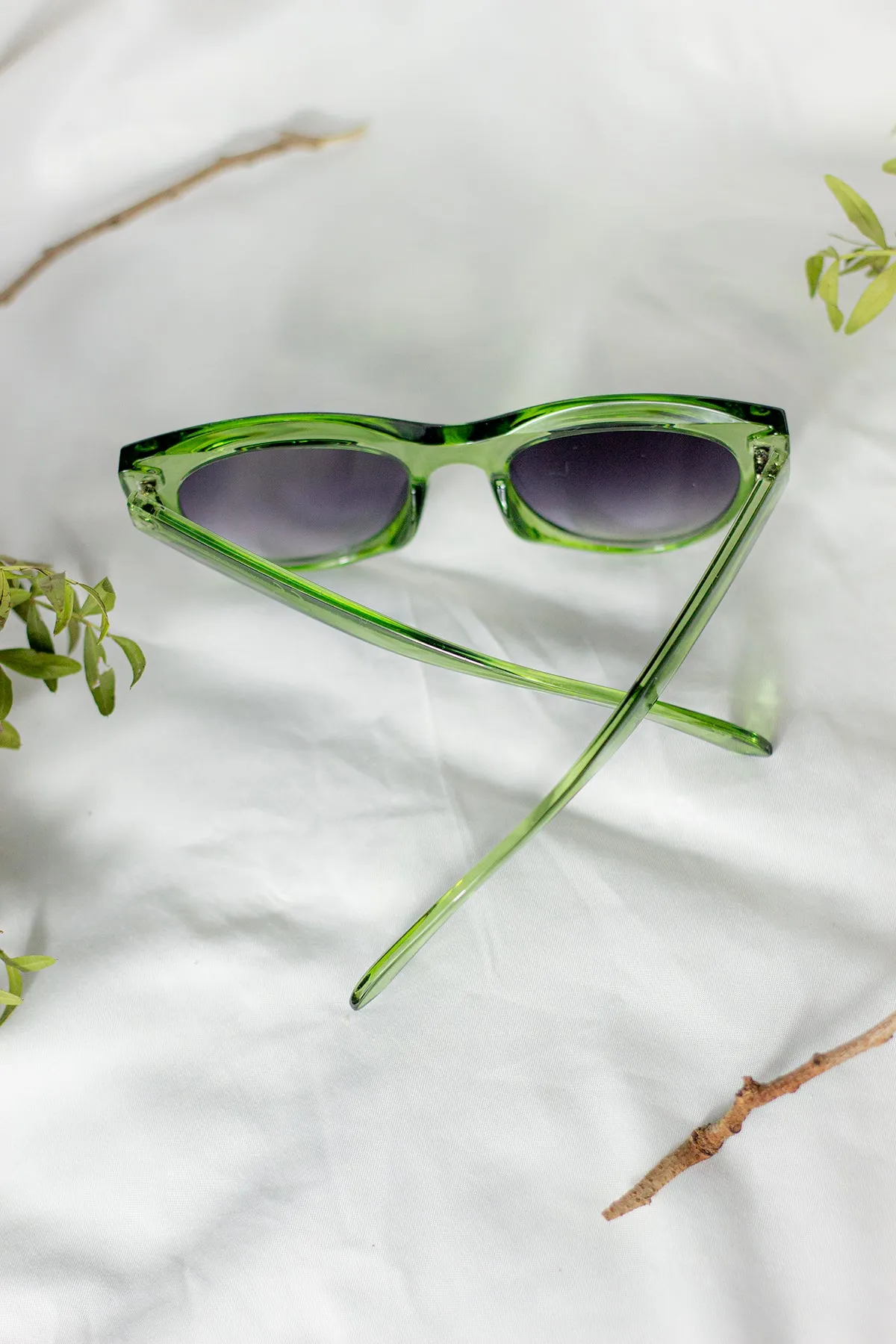 Rounded Top Cat Eye Dish Sunglasses