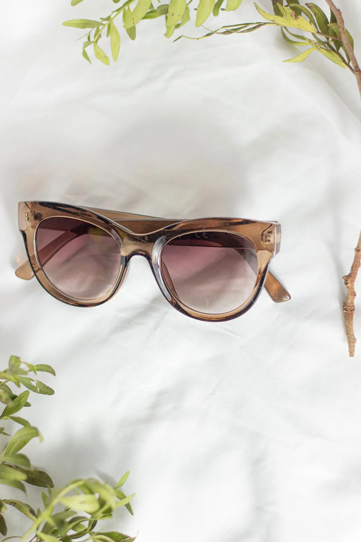 Rounded Top Cat Eye Dish Sunglasses