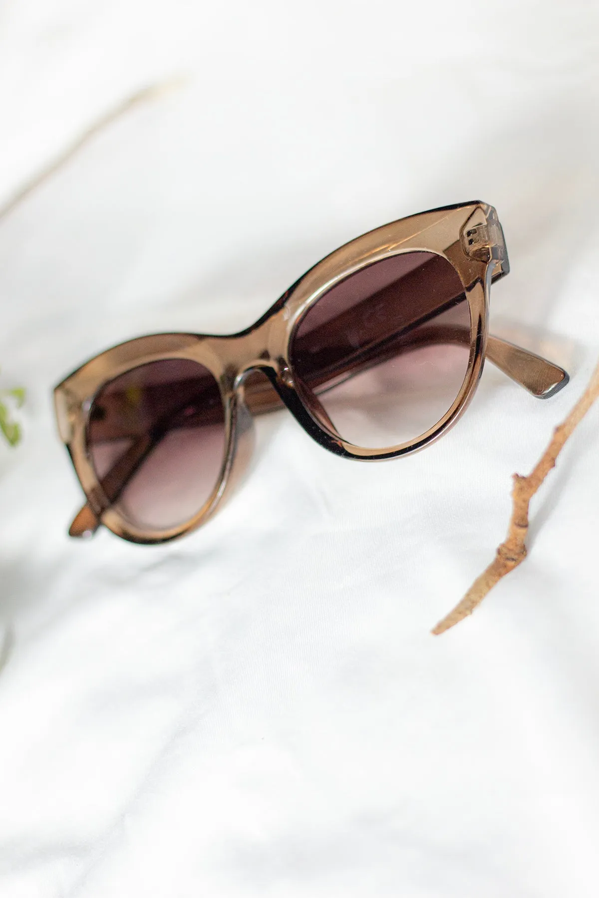 Rounded Top Cat Eye Dish Sunglasses