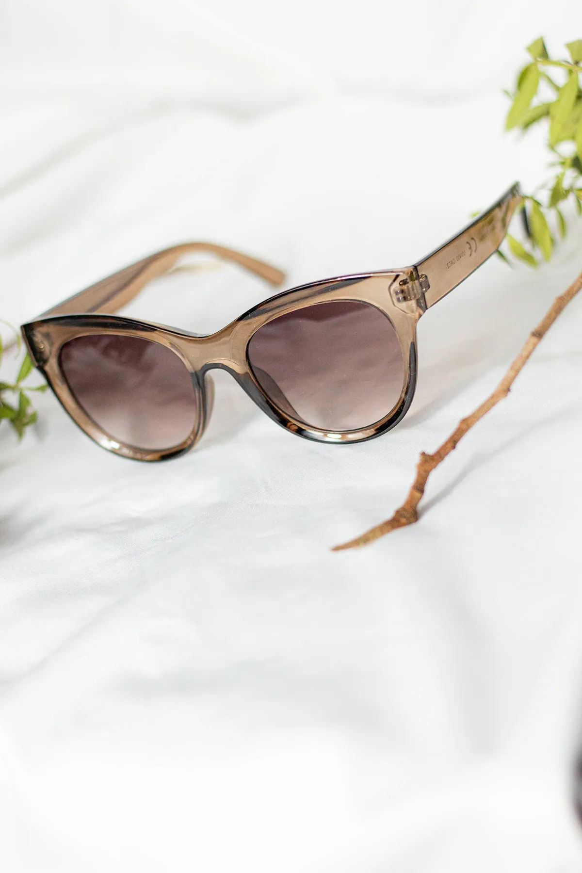 Rounded Top Cat Eye Dish Sunglasses