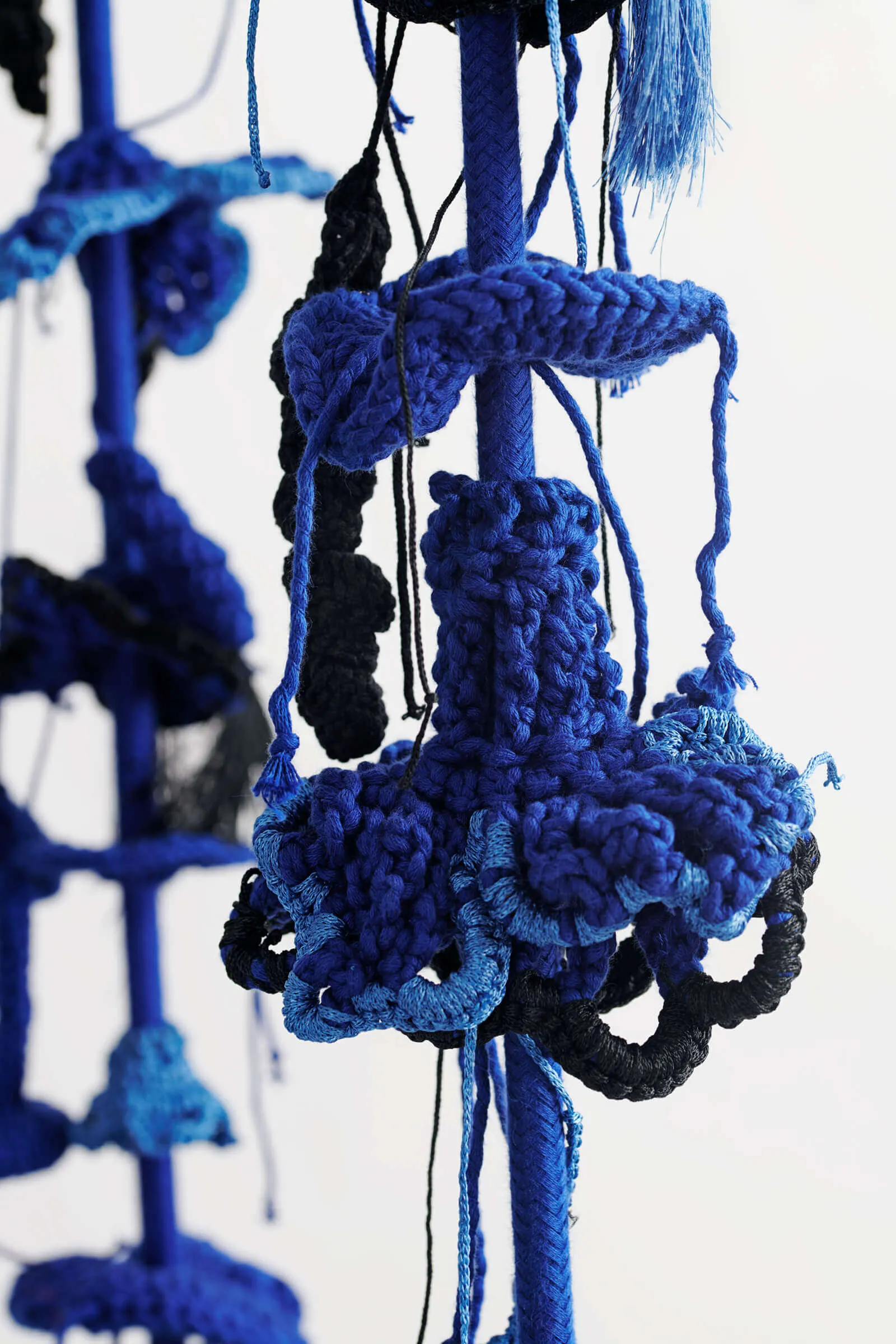 Royal Blue Swing