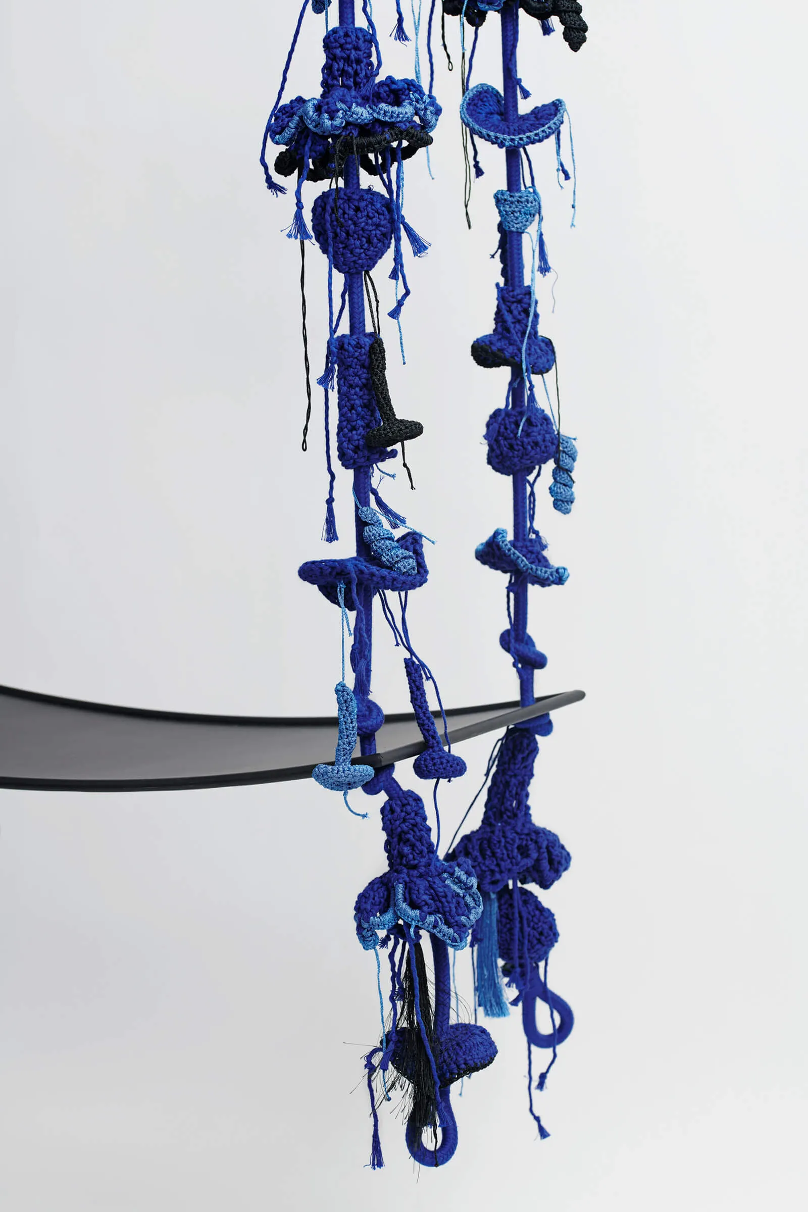 Royal Blue Swing