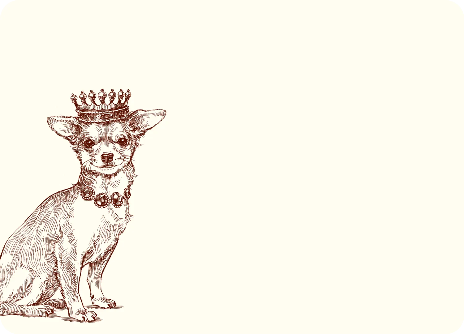 Royal Chihuahua A6 Notes