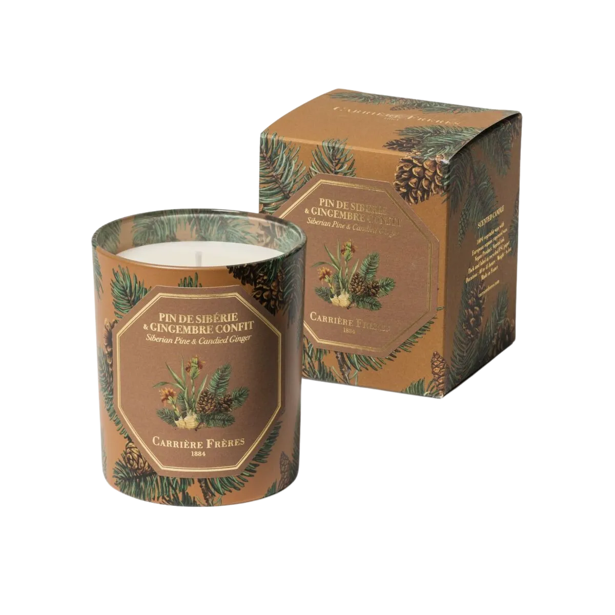 Scented Candle in Pine and Ginger