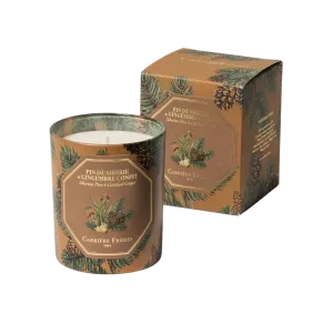 Scented Candle in Pine and Ginger