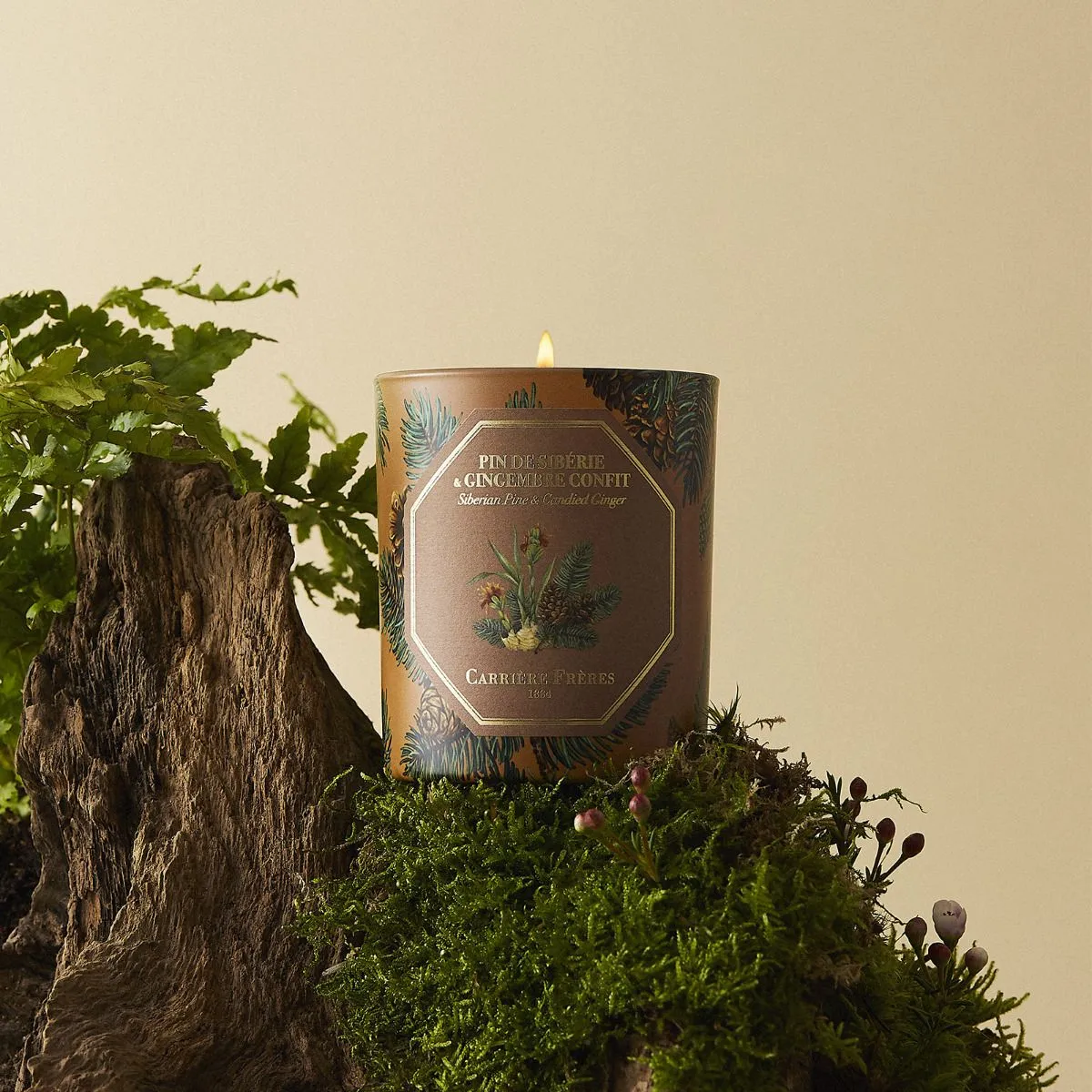 Scented Candle in Pine and Ginger