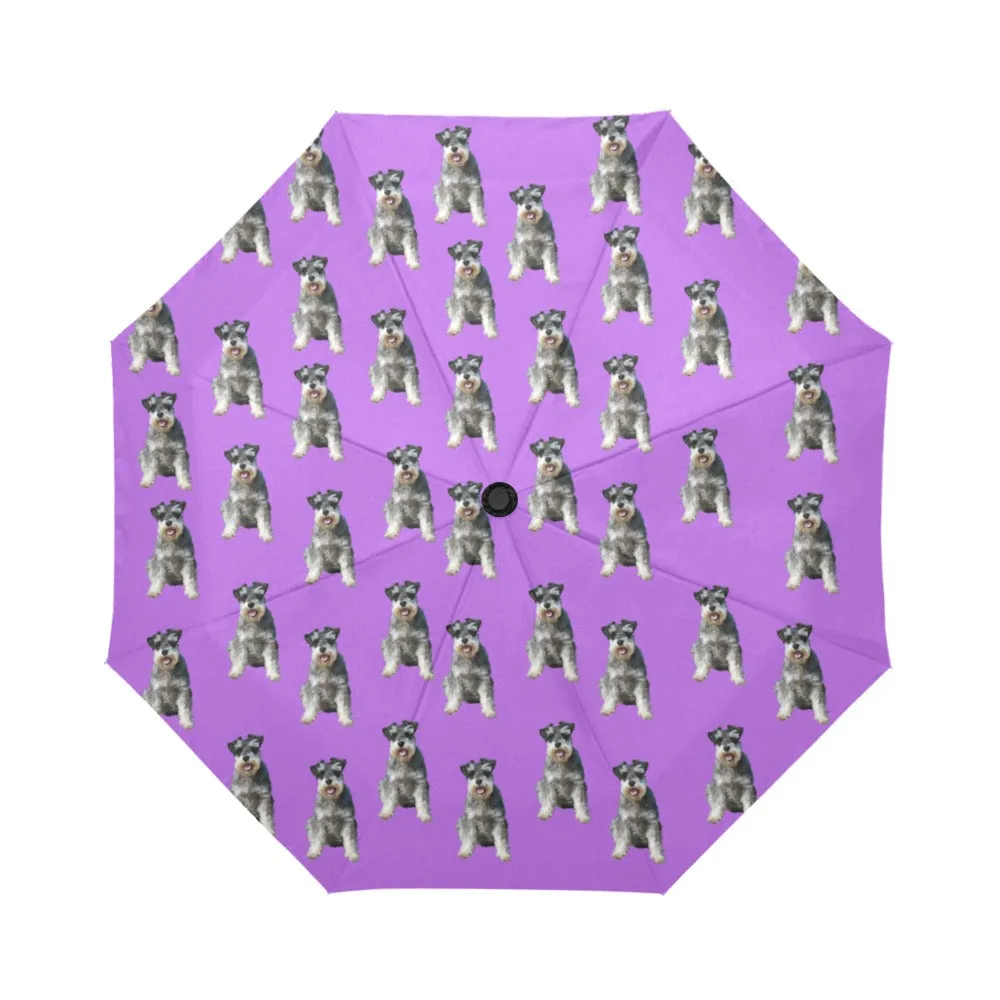 Schnauzer Umbrella - Purple Fully Auto