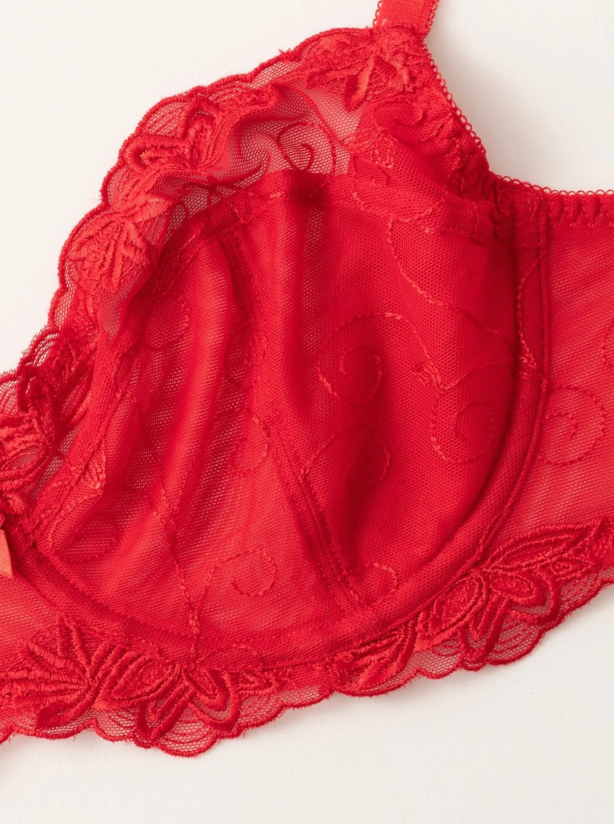 See Through Mesh Cups Non-pads Embroidered Bra Red