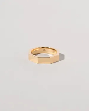 Segmented Band - 5mm