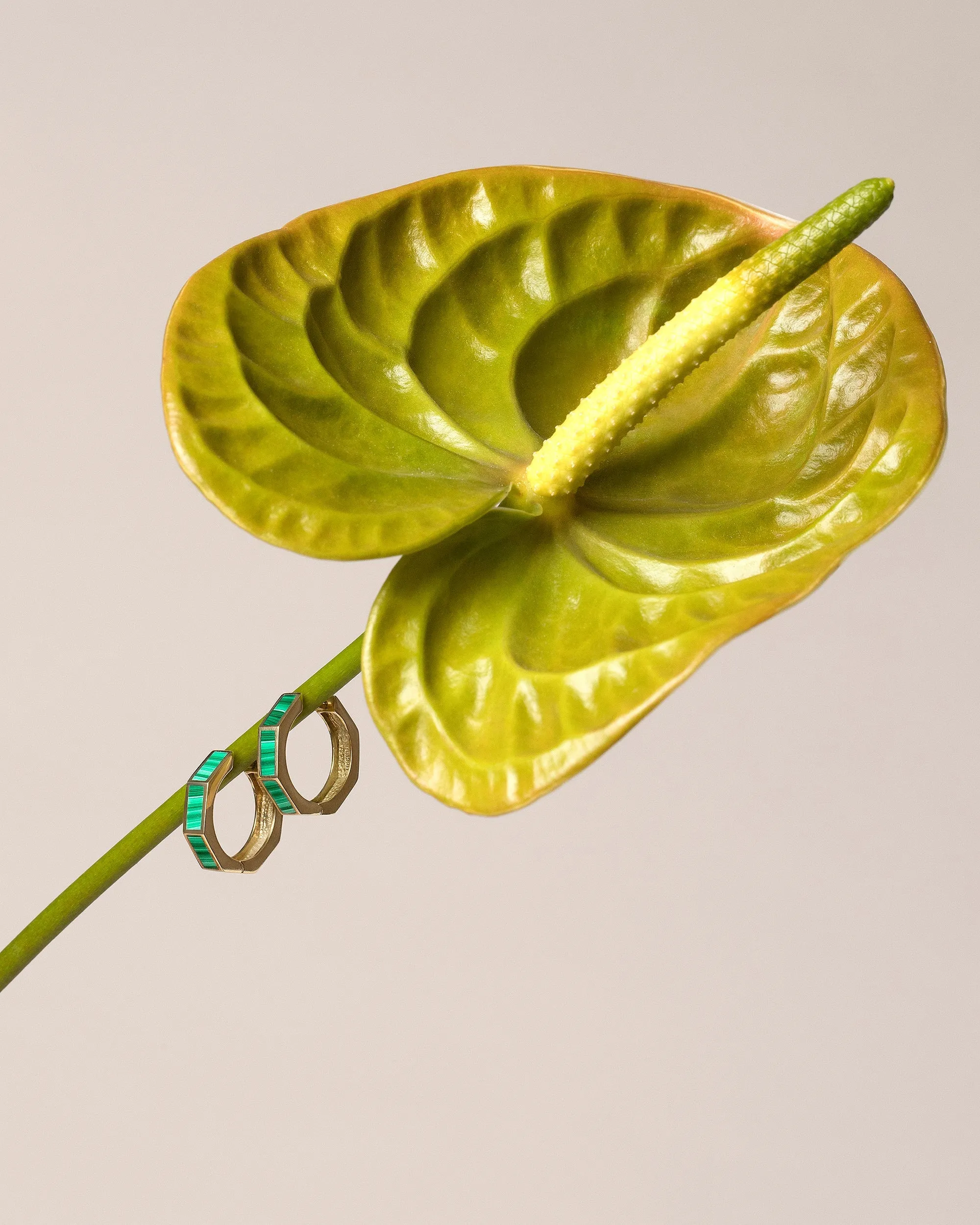 Segmented Hoop Earrings
