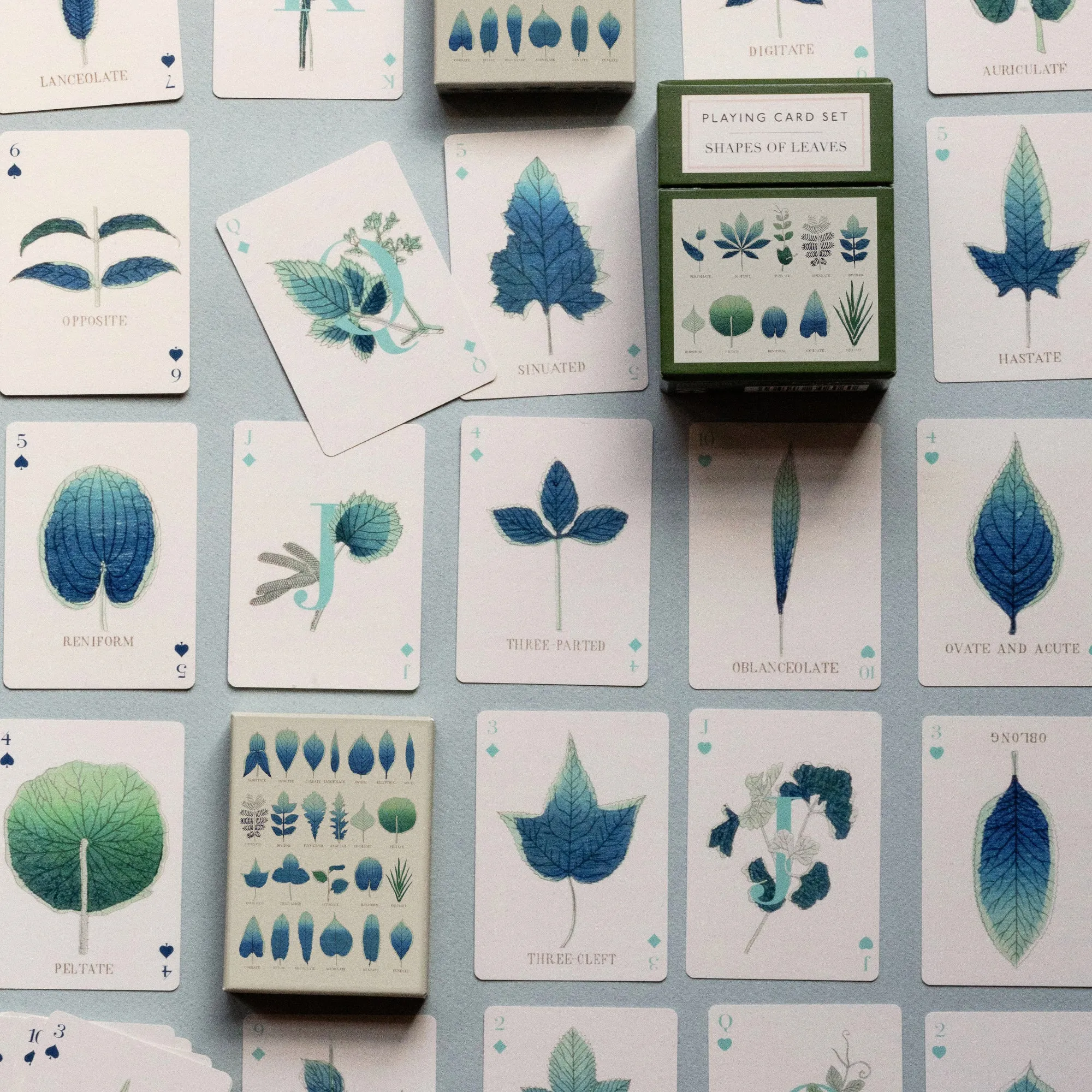 Shapes of Leaves Playing Card Set