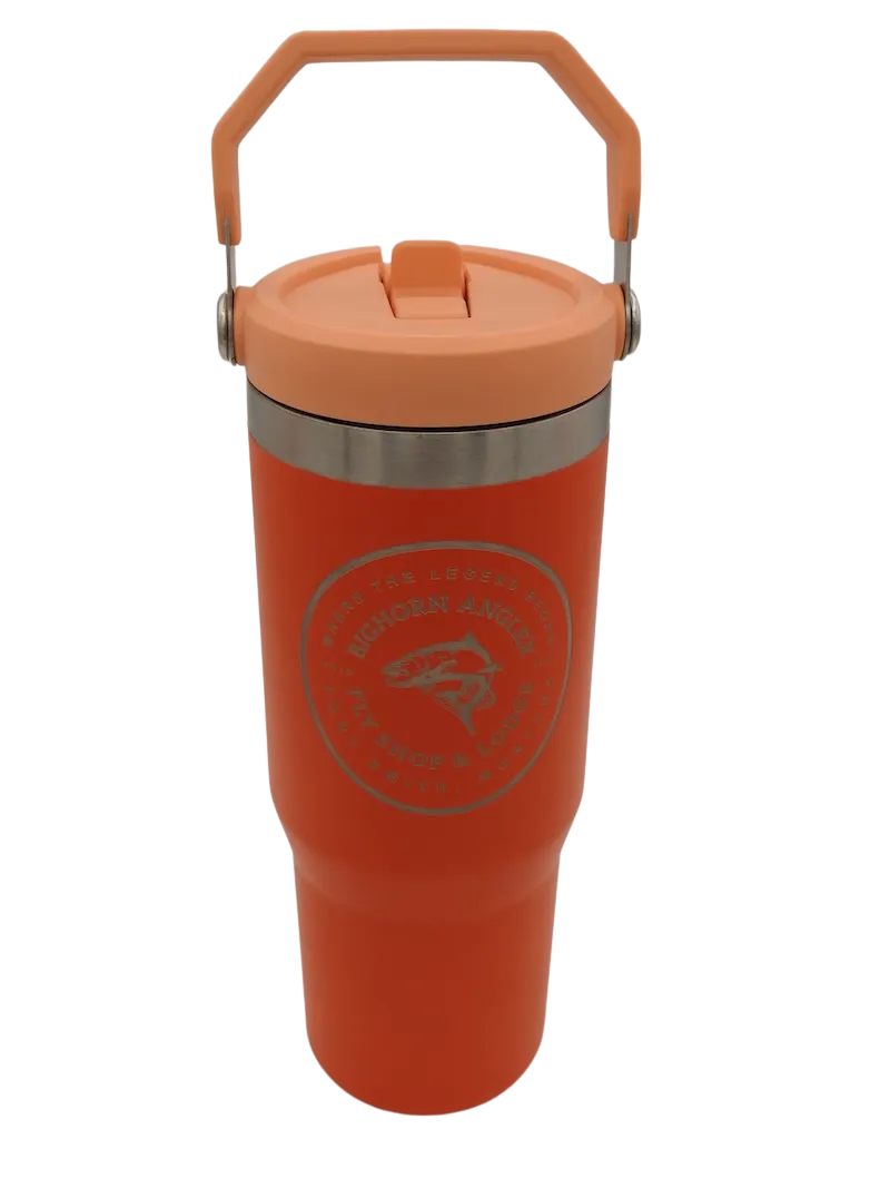 Stanley 30oz Iceflow Flip Straw Tumbler