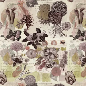 Tallapoosa, Mixed