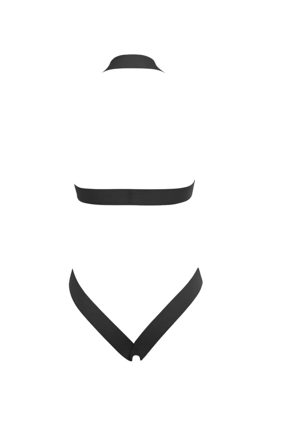 Tease and Reveal Teddy