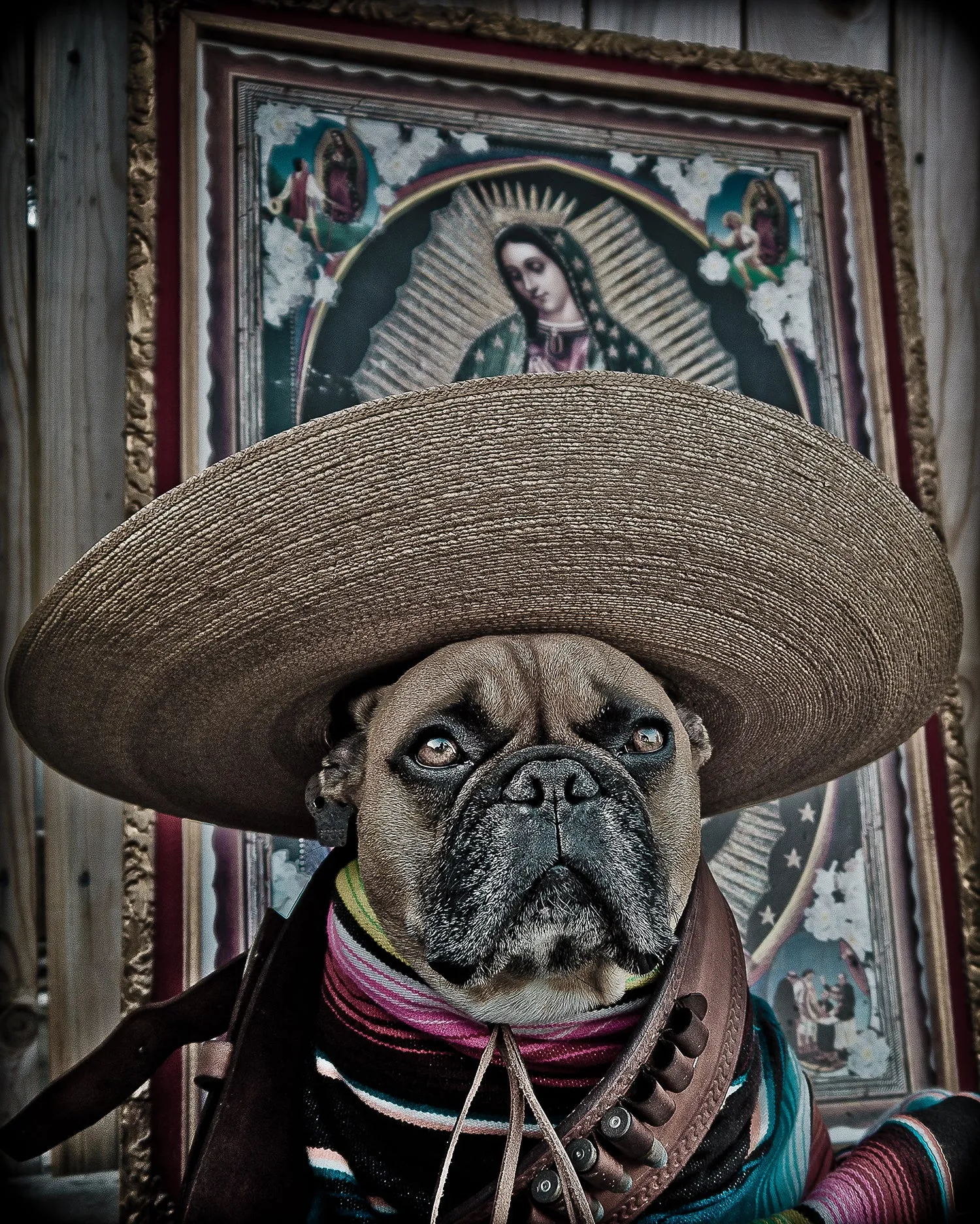 Viva El Mayor