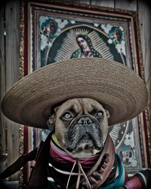 Viva El Mayor